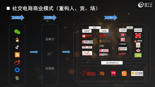 带你弄懂社交电商的三大主流玩法,社交电商app源码定制,微三云麦超