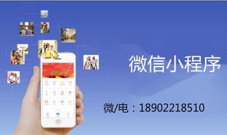 共享养生商业模式系统开发