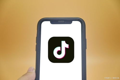 深度抖音小程序定制开发与SCM软件系统定制开发 打造独一无二的用户体验与供应链管理效能