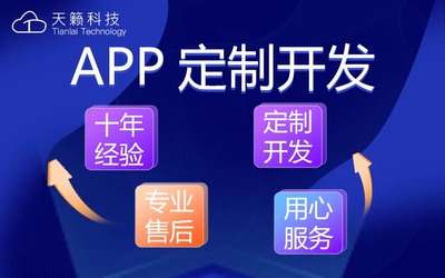 小程序与系统定制开发指南 赋能企业数字化转型